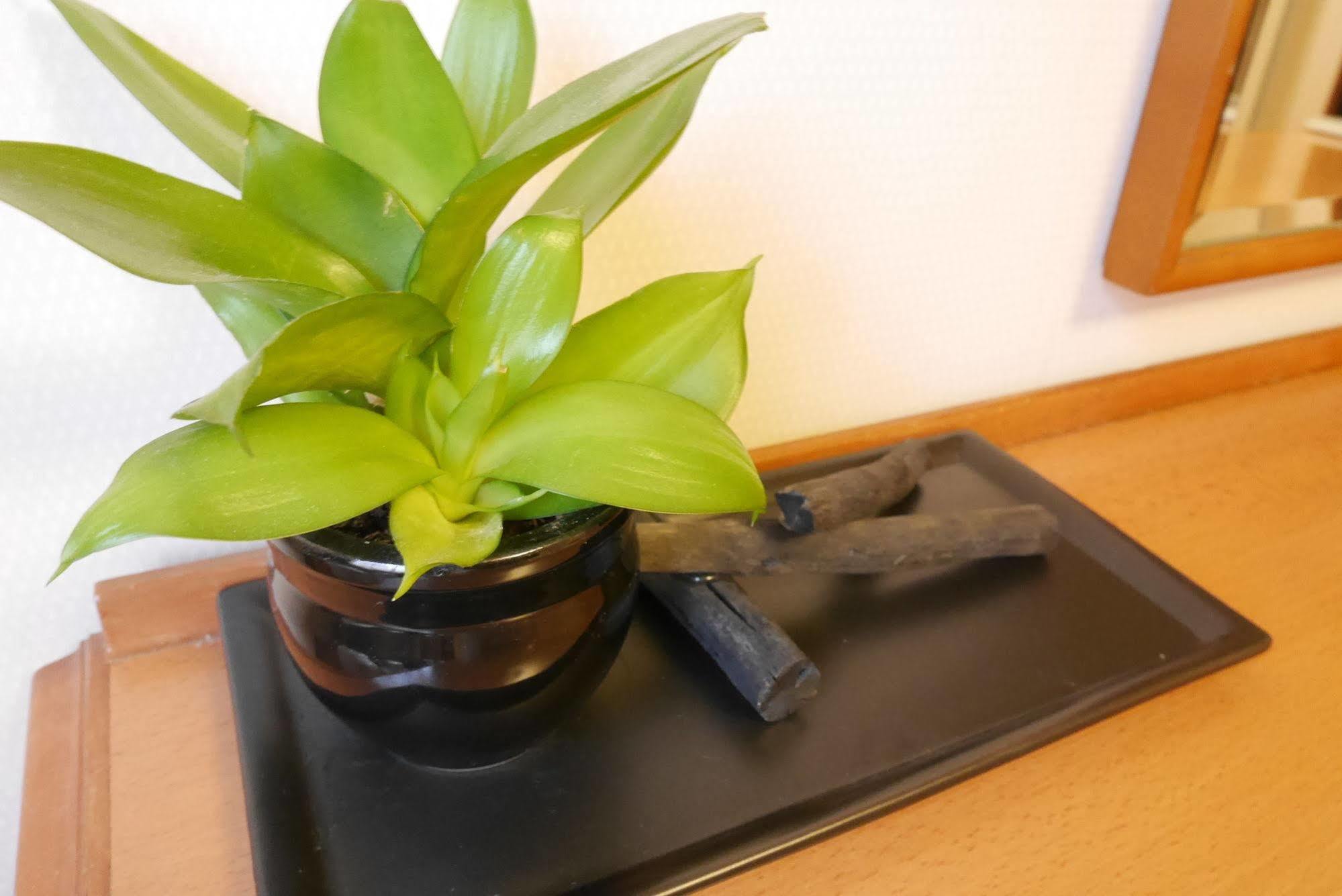 Hotel Yokohama Garden מראה חיצוני תמונה